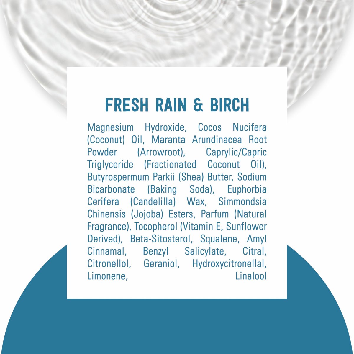 Schmidt's Aluminum-Free Vegan Deodorant Fresh Rain & Birch – 24 Hour Odor Protection, Natural Ingredients, Cruelty-Free, 2.65 oz - görsel 13