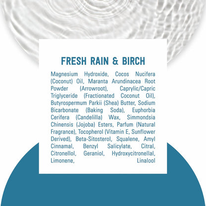 Schmidt's Aluminum-Free Vegan Deodorant Fresh Rain & Birch – 24 Hour Odor Protection, Natural Ingredients, Cruelty-Free, 2.65 oz