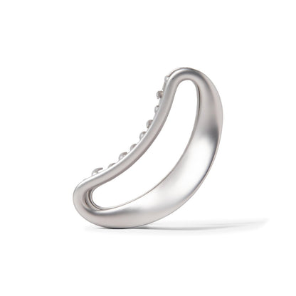 The Hair Edit Sculpted Silver Claw Clip – Large Metal Matte Silver Hair Clip for Women, Strong Hold for Updos & Half Up Styles Avelisse