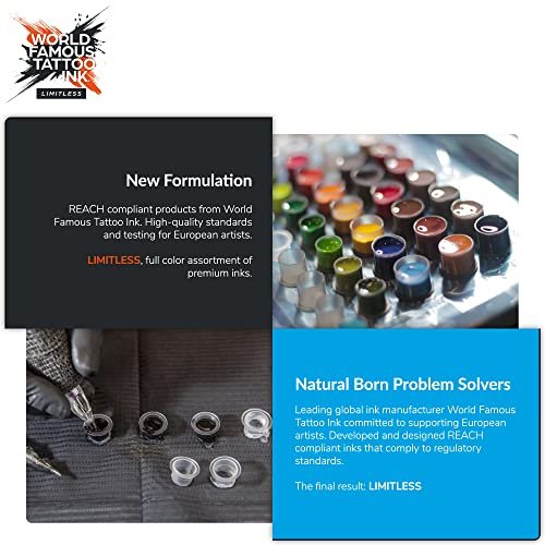 World Famous Tattoo Ink Limitless - Medium Orange 1 - Professional Tattoo Ink & Tattoo Supplies - Skin-Safe Permanent Tattooing in Bold Shades - Vegan & Non-Toxic (1 oz) - görsel 6