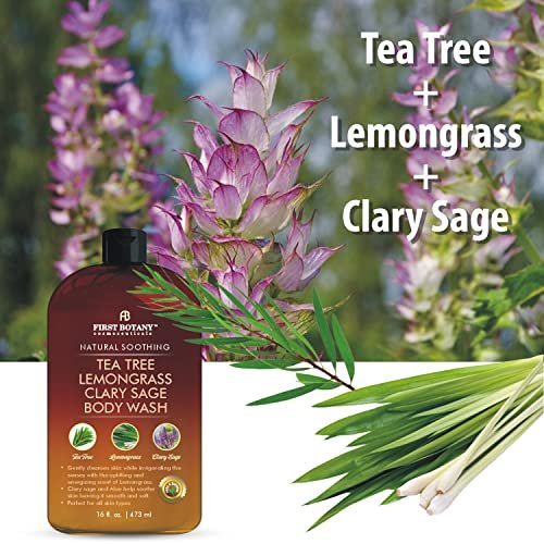 First Botany All Natural Body Wash - Tea Tree, Lemongrass, Clary Sage - Fights Body Odor, Athlete's Foot, Jock Itch, Dandruff, Acne, Eczema - Shower Gel for Women & Men - 16 fl oz Avelisse