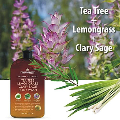 First Botany All Natural Body Wash - Tea Tree, Lemongrass, Clary Sage - Fights Body Odor, Athlete's Foot, Jock Itch, Dandruff, Acne, Eczema - Shower Gel for Women & Men - 16 fl oz Avelisse