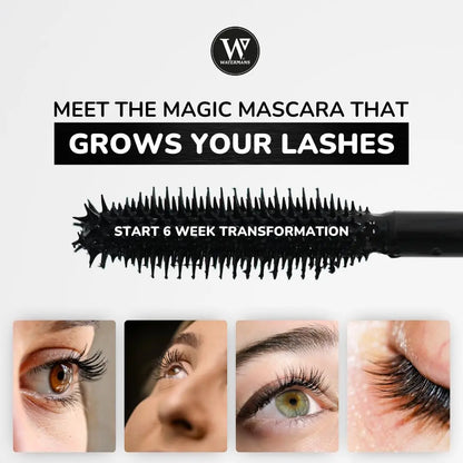 Watermans Lashology Eyelash Growth Mascara in Black – Lash Serum & Mascara for Thicker, Stronger, Fuller, Longer Lashes Avelisse