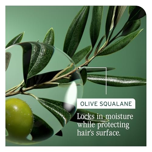 Biolage Strength Recovery Deep Treatment – Nourishing Hair Mask with Olive Squalane & Proteins, Vegan & Paraben-Free, 3.3 Fl Oz Avelisse