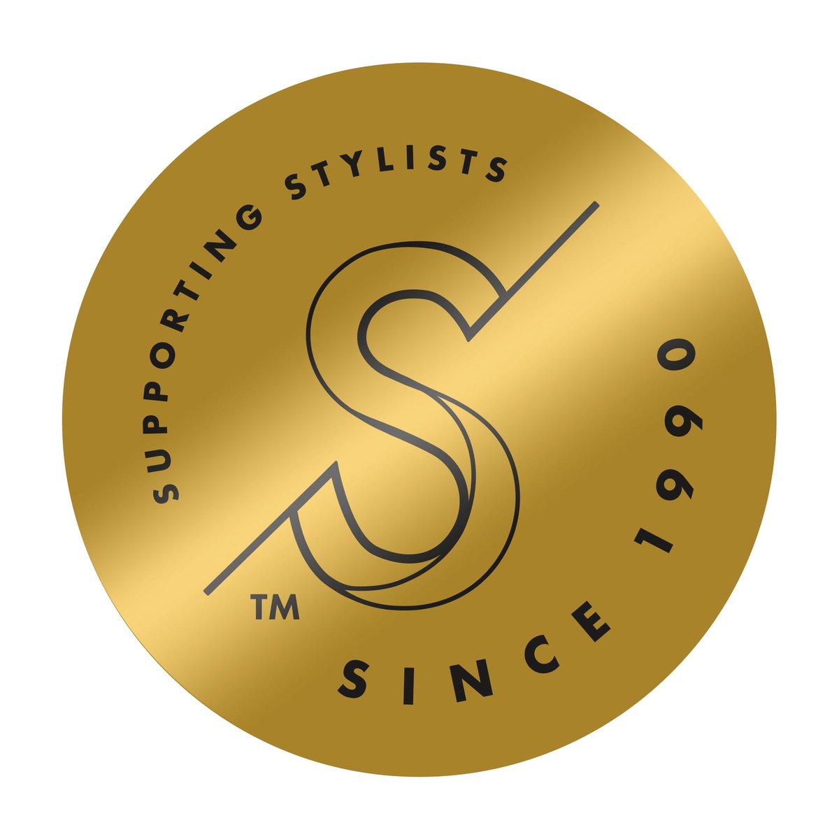 Hot Tools Pro Artist 24K Gold One-Step Small Detachable Blowout & Volumizer – Salon-Quality Blowouts at Home Avelisse