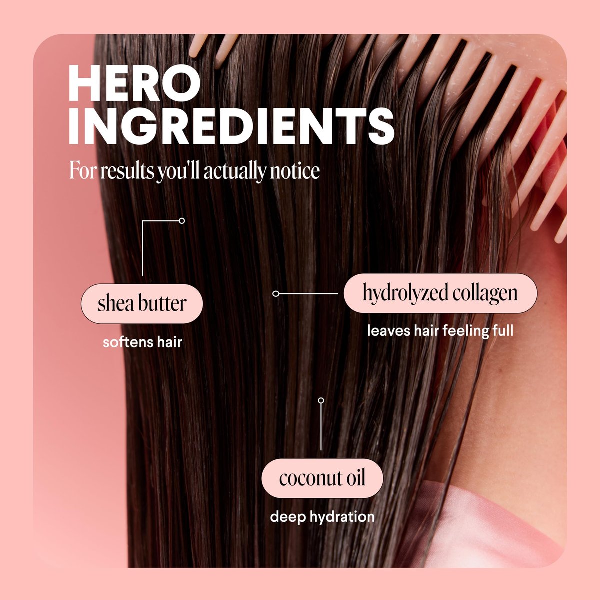MONDAY HAIRCARE Volume Shampoo & Conditioner Set for Thin, Fine, and Oily Hair - 12 oz Each (2 Count) with Coconut Oil, Ginger Extract, and Vitamin E - 100% Recyclable Bottles Avelisse