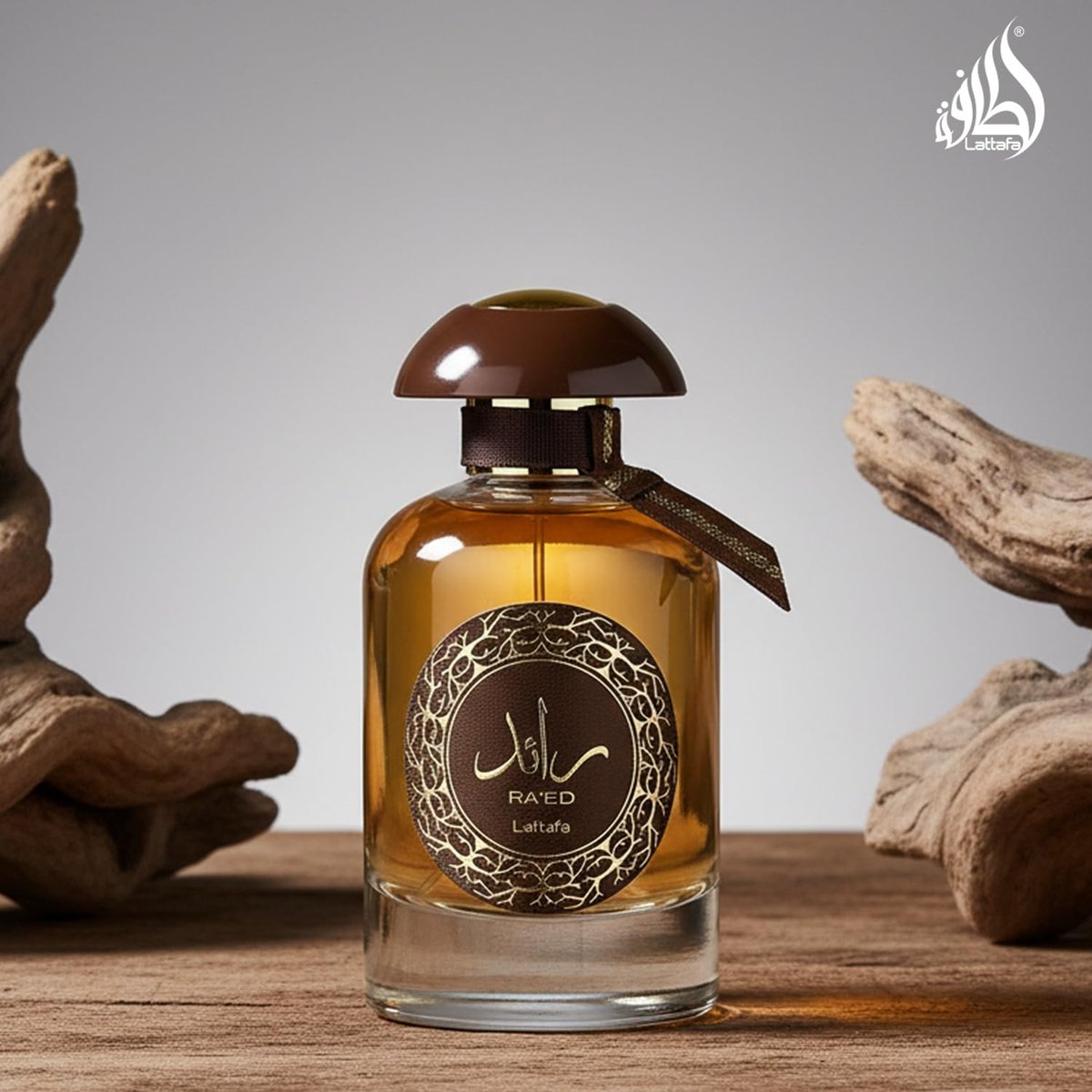 Lattafa Perfumes Ra'ed Oud Unisex Eau de Parfum Spray, 3.4 oz – Rich Oud Fragrance - görsel 13
