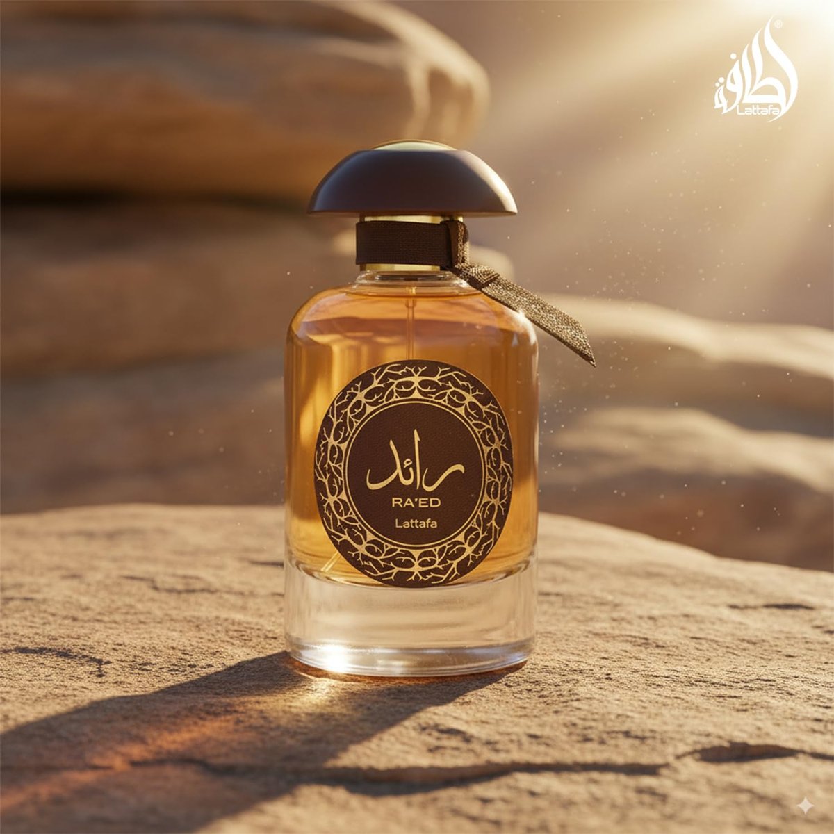 Lattafa Perfumes Ra'ed Oud Unisex Eau de Parfum Spray, 3.4 oz – Rich Oud Fragrance - görsel 9