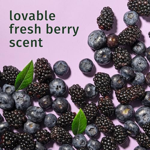 Herbal Essences Curl Boosting Mousse, Frizz Control for Curly & Wavy Hair, Long-Lasting Hold with Berry Scent, Paraben & Dye-Free, Cruelty-Free, 6.8 Fl Oz Each, 3 Pack Avelisse