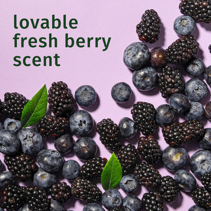 Herbal Essences Curl Boosting Mousse, Frizz Control for Curly & Wavy Hair, Long-Lasting Hold with Berry Scent, Paraben & Dye-Free, Cruelty-Free, 6.8 Fl Oz Each, 3 Pack Avelisse
