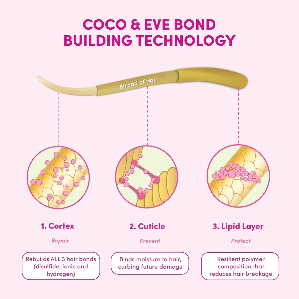 Coco & Eve Pre-Shampoo Conditioner Treatment - Deep Hair Mask for Dry Damaged Hair Repair & Bond Repair, 4.23 fl oz Avelisse