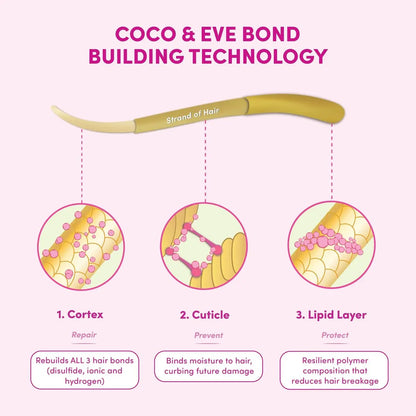Coco & Eve Pre-Shampoo Conditioner Treatment - Deep Hair Mask for Dry Damaged Hair Repair & Bond Repair, 4.23 fl oz Avelisse