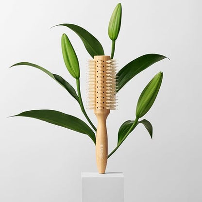 The Hair Edit Sleek Goddess Boar Bristle Bamboo Round Brush – Vented Blowdry Brush for Smooth Shine & Flyaway Control, Lightweight Eco-Friendly Hairbrush for Women Avelisse