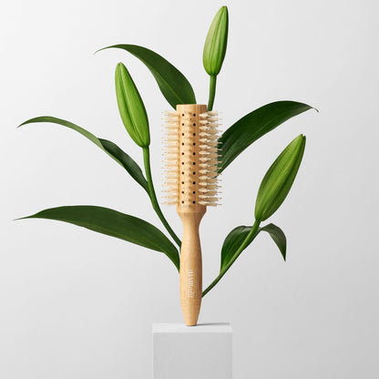 The Hair Edit Sleek Goddess Boar Bristle Bamboo Round Brush – Vented Blowdry Brush for Smooth Shine & Flyaway Control, Lightweight Eco-Friendly Hairbrush for Women Avelisse