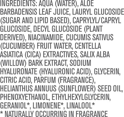 By Nature Foaming Cleanser with Hyaluronic Acid + Cica - Hydrating Face Cleanser For Bright and Fresh Skin - 5 fl.oz