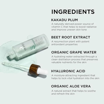IMAGE Skincare ORMEDIC Balancing Antioxidant Serum – Hydrating & Soothing Face Serum with Organic Aloe Vera, Vitamin C & Botanical Extracts, 1 fl oz Avelisse