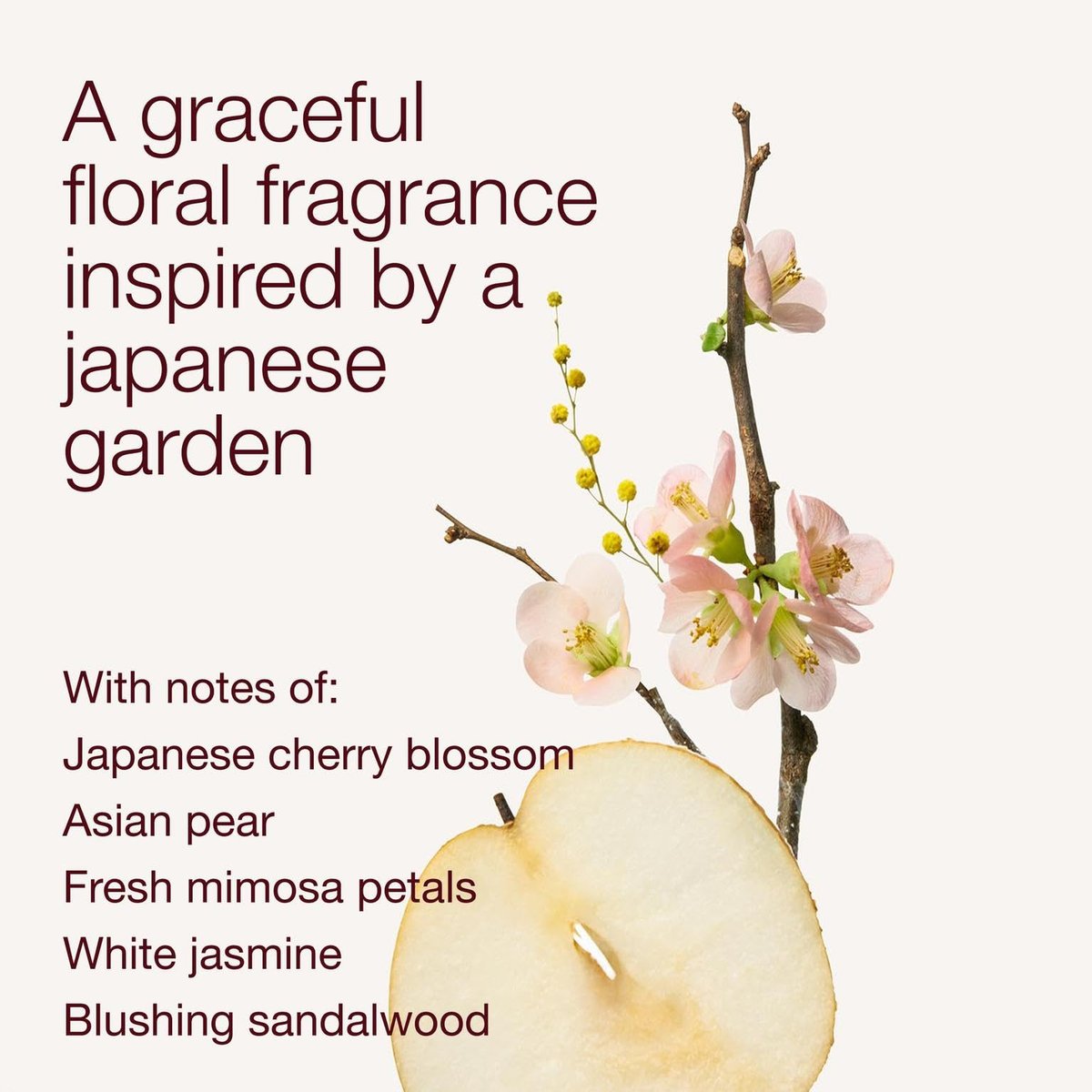 Bath & Body Works Japanese Cherry Blossom Body Wash, 10 fl oz (Pack of 2) – Nourishing Cleanser with Pro-Vitamin B5 & Aloe, Gentle Daily Use Avelisse