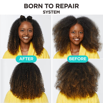 Carol's Daughter Born To Repair Nourishing Conditioner - Sulfate-Free for Curly Hair with Shea Butter, 11 Fl Oz Avelisse