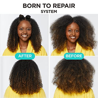 Carol's Daughter Born To Repair Nourishing Conditioner - Sulfate-Free for Curly Hair with Shea Butter, 11 Fl Oz Avelisse