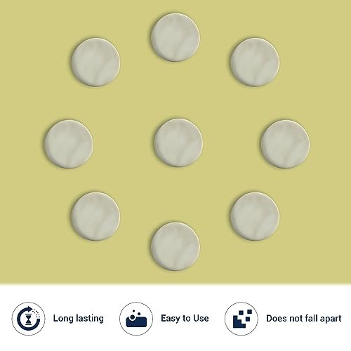 Pacific Spirit Conditioner Bar - Moisturizing for All Hair Types, Almond Oil & Honey, Lightweight, SLS-Free, Vegan, Zero Waste Travel Bar (2.12 oz, 80-100 Washes) - görsel 12