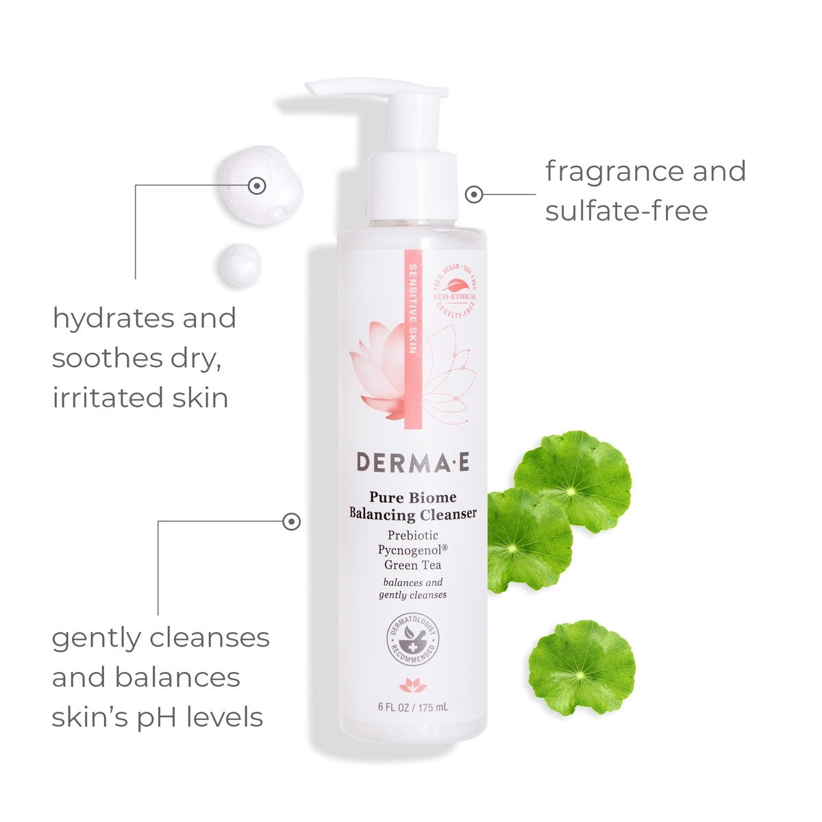 Derma E Pure Biome Balancing Cleanser - Cranberry, 6 Fl Oz - Gentle Daily Face Wash for Sensitive Skin Avelisse