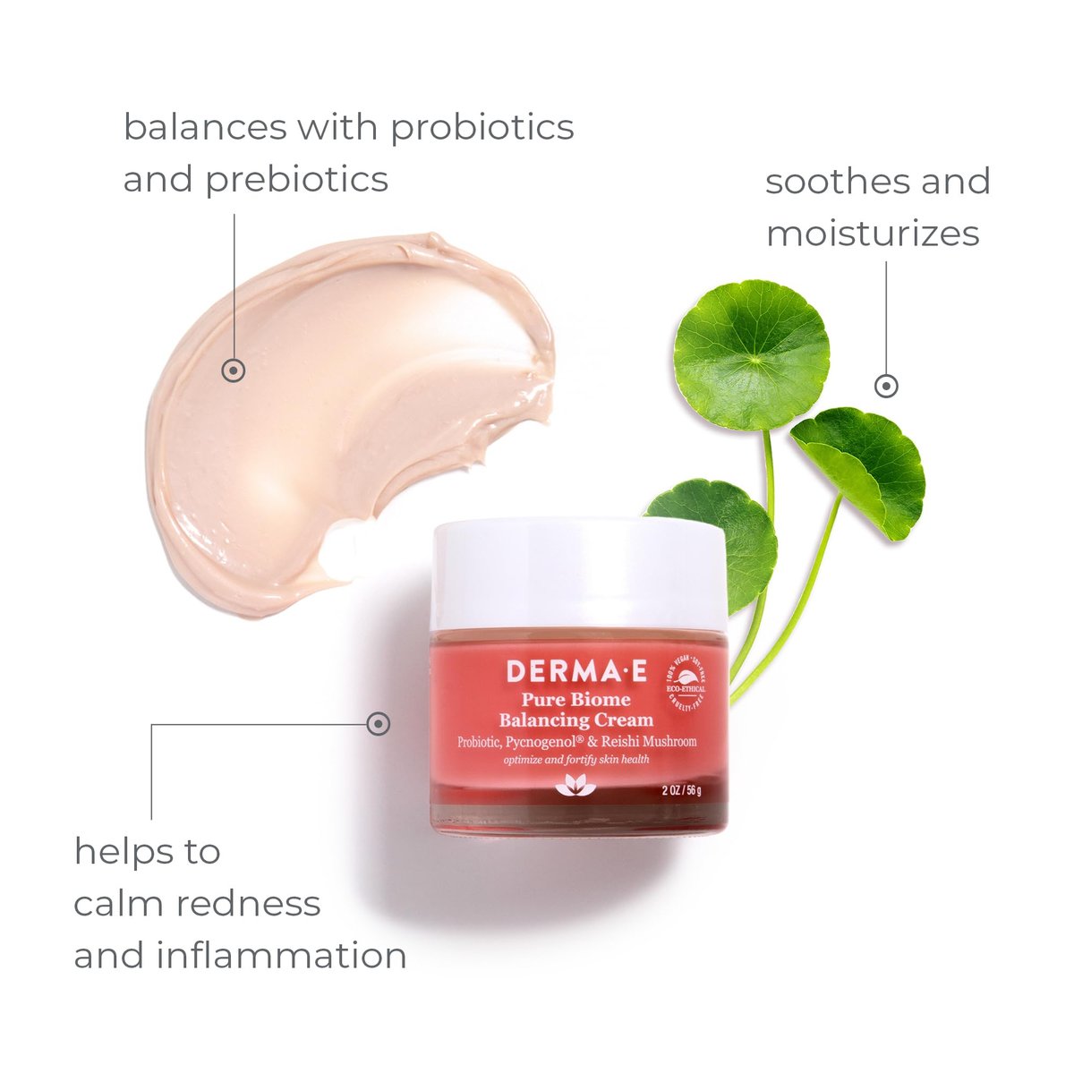 DERMA E Pure Biome Balancing Cream - 2 oz | Cranberry | Face Moisturizer for Balanced Skin Avelisse