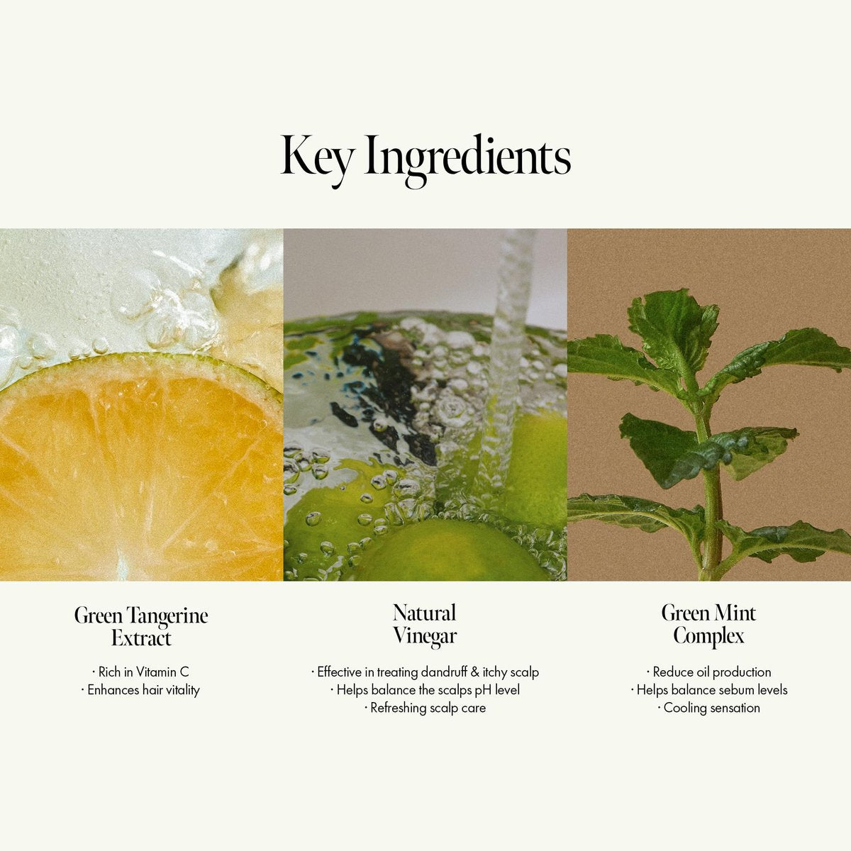Lime Sunday Refresh Hair Vinegar with Vitamin C - Deep Cleansing Oily Scalp Treatment, Reduces Oil Production, Lime Citrus Scent, Silicone, Sulfate & Paraben Free (200ml / 6.76 fl.Oz) - görsel 6