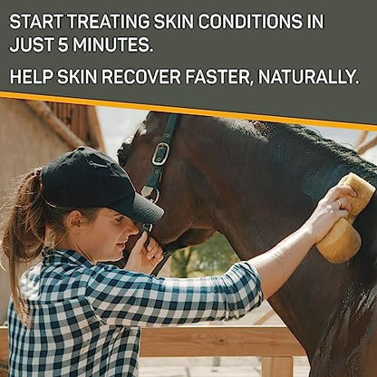 Absorbine Silver Honey Rapid Skin Relief Medicated Shampoo – Medical Grade Manuka Honey & MicroSilver BG – Soothing, Hydrating for Dogs & Horses – 16 oz Avelisse
