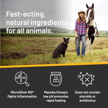 Absorbine Silver Honey Rapid Skin Relief Medicated Shampoo – Medical Grade Manuka Honey & MicroSilver BG – Soothing, Hydrating for Dogs & Horses – 16 oz Avelisse