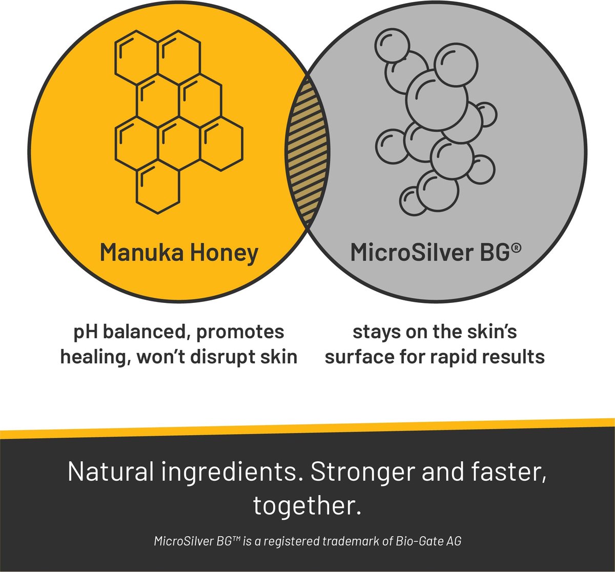 Absorbine Silver Honey Rapid Skin Relief Medicated Shampoo – Medical Grade Manuka Honey & MicroSilver BG – Soothing, Hydrating for Dogs & Horses – 16 oz Avelisse