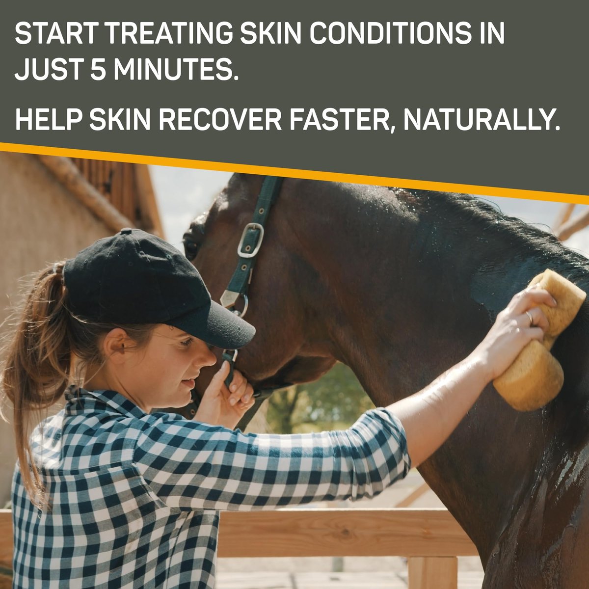 Absorbine Silver Honey Rapid Skin Relief Medicated Shampoo – Medical Grade Manuka Honey & MicroSilver BG – Soothing, Hydrating for Dogs & Horses – 16 oz Avelisse