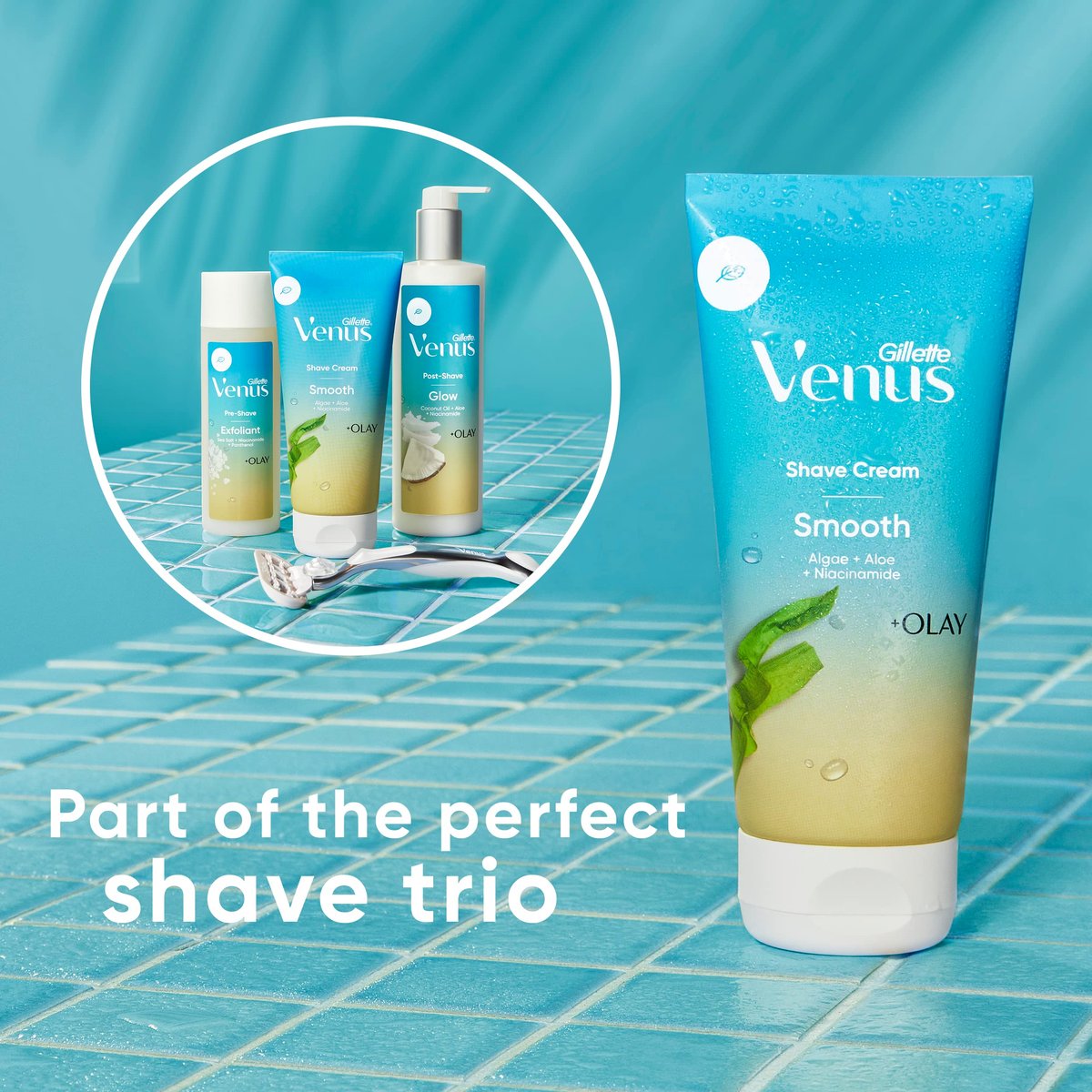 Gillette Venus Smooth & Olay Shaving Cream for Women, 6 oz (3-Pack) Avelisse