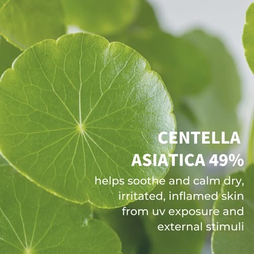 IUNIK Centella Calming Moisture Daily Sunscreen SPF 50+ PA++++ - Matte Finish, No White Cast, for Dry, Oily, Sensitive Skin, Vegan Korean Skincare (Pack of 2) Avelisse