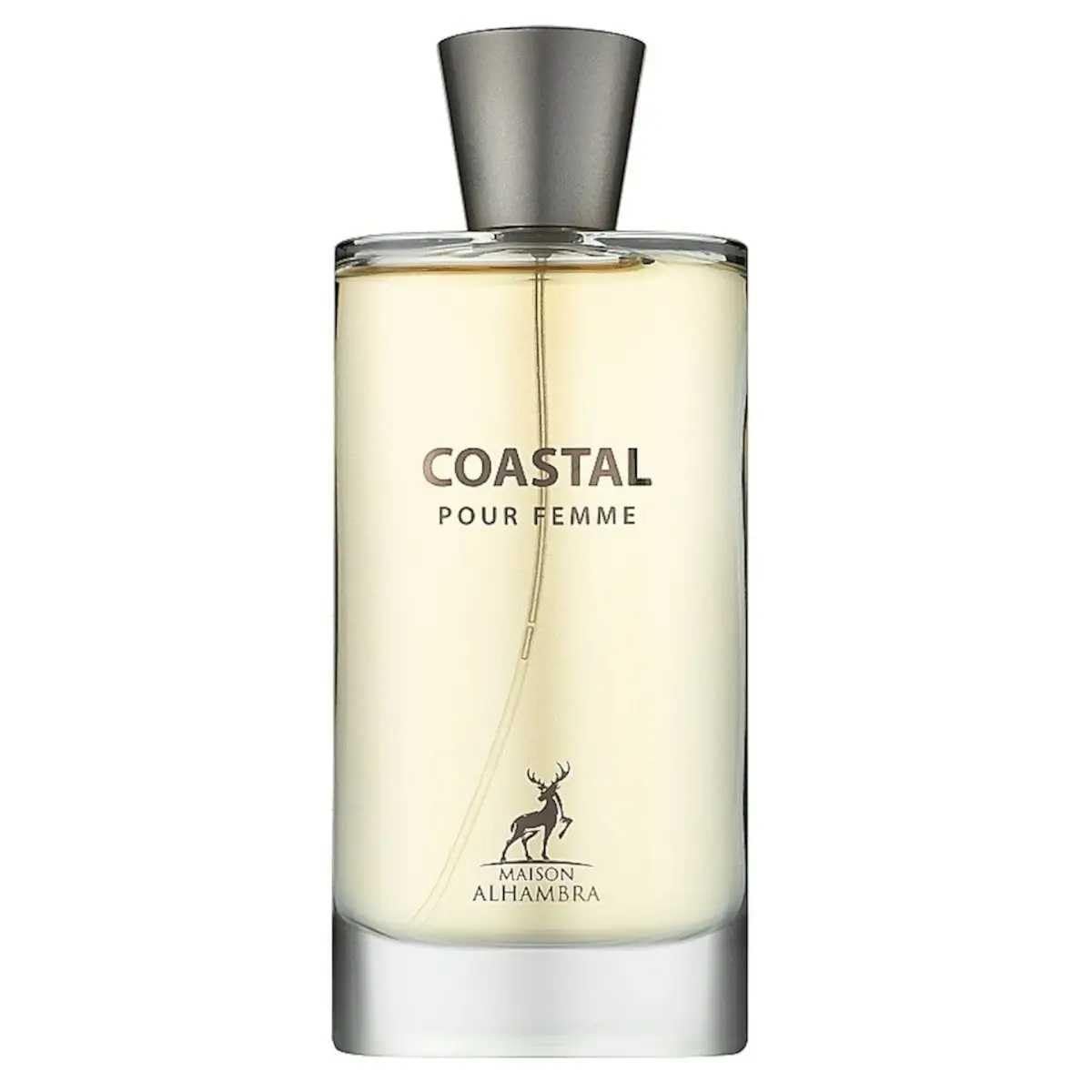 Coastal by Maison Alhambra for Women - 3.4 oz Eau de Parfum Spray - görsel 1