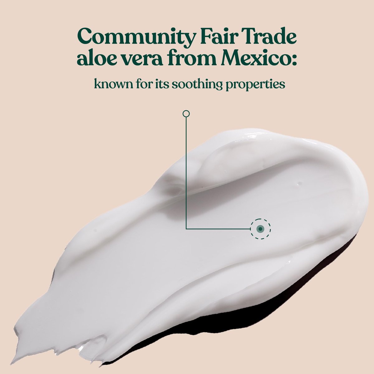 The Body Shop Aloe Vera Day Cream for Sensitive Skin - Vegan, 50ml - görsel 5