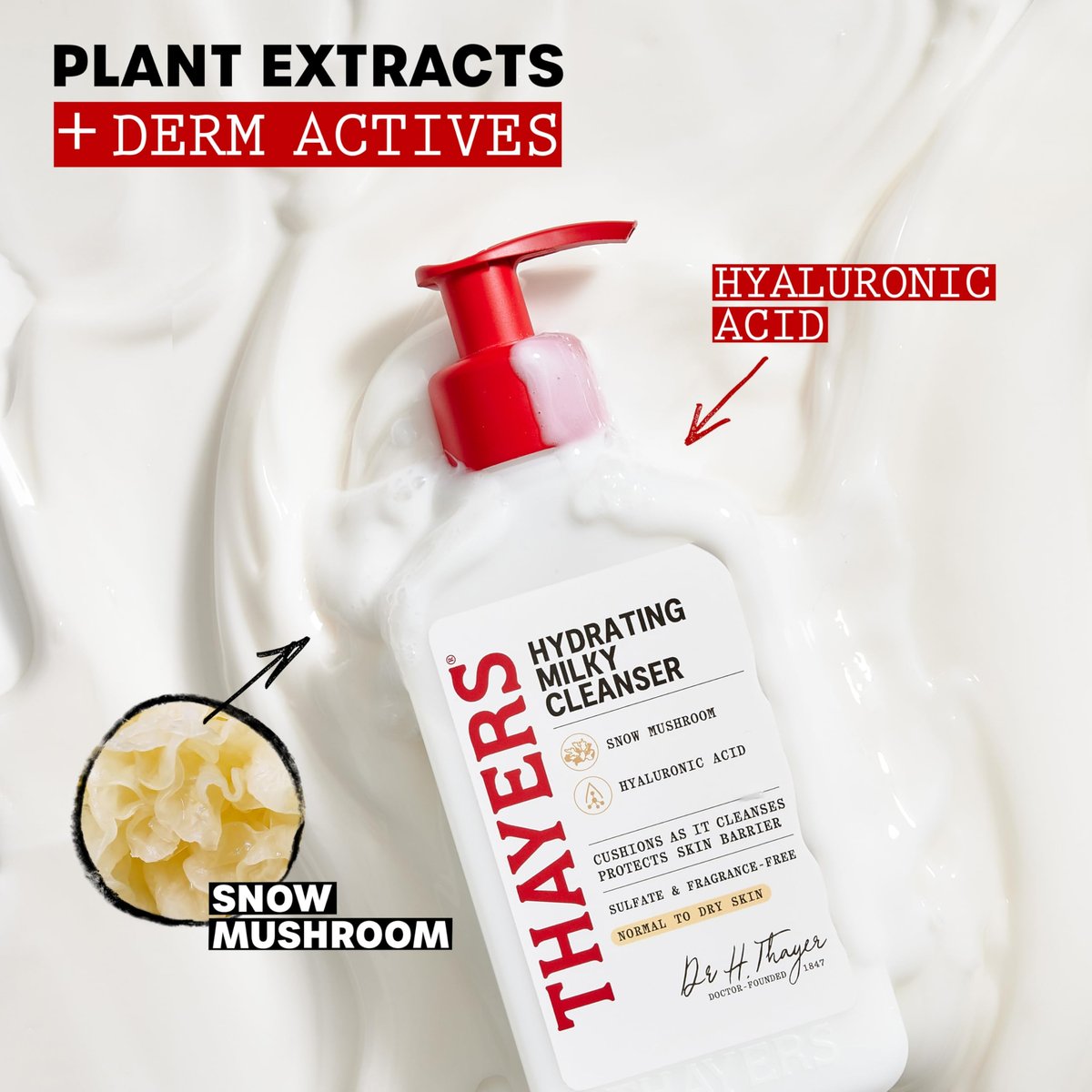 Thayers Milky Hydrating Face Cleanser with Snow Mushroom and Hyaluronic Acid – Gentle Facial Wash for Dry and Sensitive Skin, 8 Fl Oz Avelisse