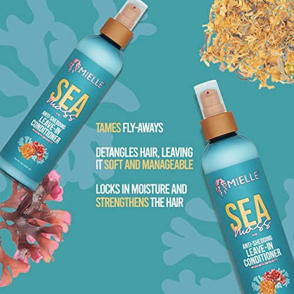 Mielle Organics Sea Moss Anti-Shedding Leave In Conditioner for Curly Hair - Moisturizing Leave In Treatment Spray 8 Oz
