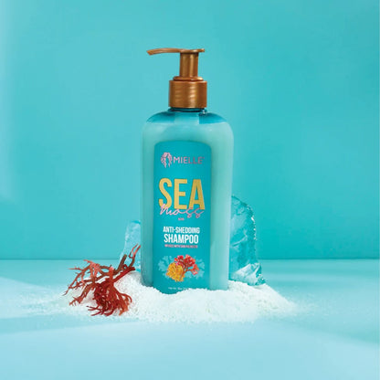 Mielle Organics Sea Moss Anti-Shedding Hair Shampoo - Hydrating Shampoo for Dry Hair - Fortifies Strands for Reduced Shedding - 8 Oz