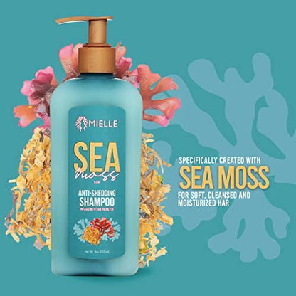 Mielle Organics Sea Moss Anti-Shedding Hair Shampoo - Hydrating Shampoo for Dry Hair - Fortifies Strands for Reduced Shedding - 8 Oz