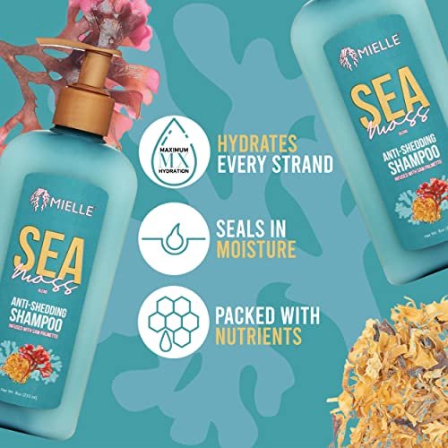 Mielle Organics Sea Moss Anti-Shedding Hair Shampoo - Hydrating Shampoo for Dry Hair - Fortifies Strands for Reduced Shedding - 8 Oz - görsel 4