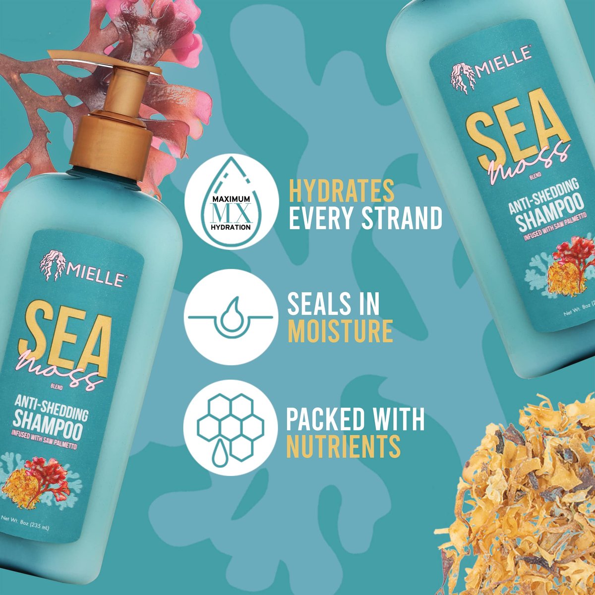 Mielle Organics Sea Moss Anti-Shedding Hair Shampoo - Hydrating Shampoo for Dry Hair - Fortifies Strands for Reduced Shedding - 8 Oz - görsel 3