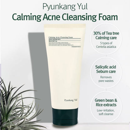 Pyunkang Yul Calming Cleansing Foam - Low pH Facial Wash with Witch Hazel, AHA, Cica & Tea Tree Extract for Oil Control, 3.38 Fl Oz Avelisse