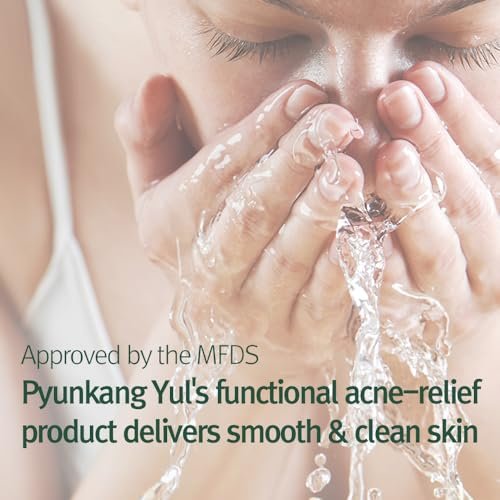 Pyunkang Yul Calming Cleansing Foam - Low pH Facial Wash with Witch Hazel, AHA, Cica & Tea Tree Extract for Oil Control, 3.38 Fl Oz Avelisse