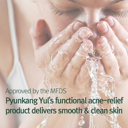 Pyunkang Yul Calming Cleansing Foam - Low pH Facial Wash with Witch Hazel, AHA, Cica & Tea Tree Extract for Oil Control, 3.38 Fl Oz Avelisse