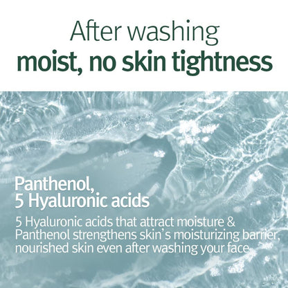Pyunkang Yul Calming Cleansing Foam - Low pH Facial Wash with Witch Hazel, AHA, Cica & Tea Tree Extract for Oil Control, 3.38 Fl Oz Avelisse