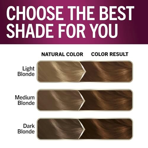Schwarzkopf Keratin Permanent Hair Dye Cream, 6.33 Light Gold Brown - Professional Gray Coverage with Bond Enforcing System Avelisse