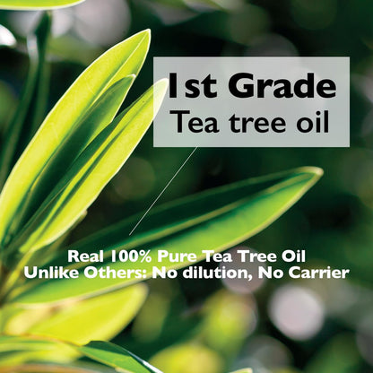 Lazy Society Tea Tree Oil Roll-On – 100% Pure Spot Care for Acne, Blemishes & Pimples, Gentle on Sensitive Skin, 0.18 oz Avelisse