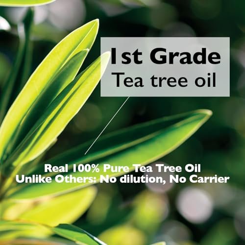 Lazy Society Tea Tree Oil Roll-On – 100% Pure Spot Care for Acne, Blemishes & Pimples, Gentle on Sensitive Skin, 0.18 oz Avelisse