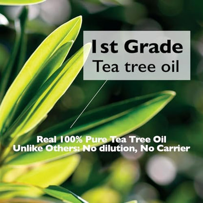 Lazy Society Tea Tree Oil Roll-On – 100% Pure Spot Care for Acne, Blemishes & Pimples, Gentle on Sensitive Skin, 0.18 oz Avelisse