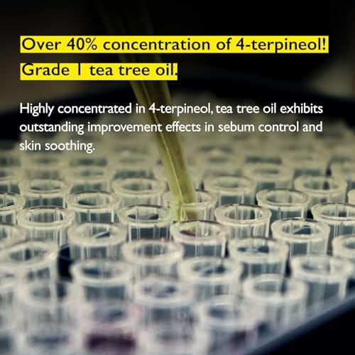 Lazy Society Tea Tree Oil Roll-On – 100% Pure Spot Care for Acne, Blemishes & Pimples, Gentle on Sensitive Skin, 0.18 oz Avelisse